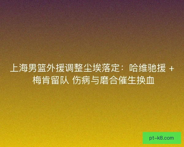 上海男篮外援调整尘埃落定：哈维驰援 + 梅肯留队 伤病与磨合催生换血