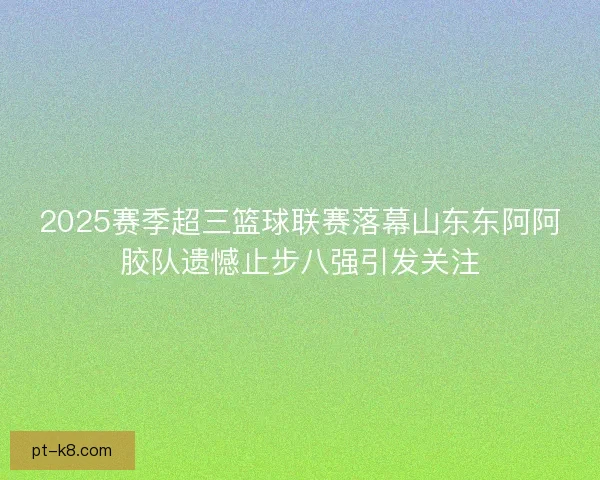 2025赛季超三篮球联赛落幕山东东阿阿胶队遗憾止步八强引发关注
